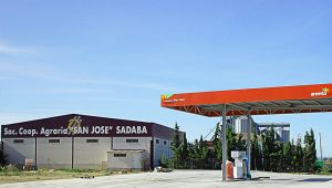 Gasolinera Carburante Cooperativa San José